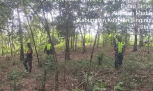 WhatsApp Image 2025-12-14 at 09.24.42