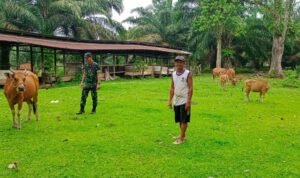 WhatsApp Image 2025-12-16 at 09.59.41