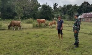 WhatsApp Image 2025-12-31 at 09.54.06