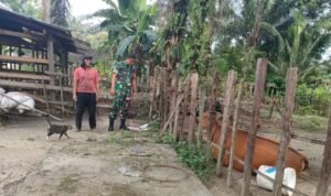 WhatsApp Image 2026-01-05 at 12.02.04