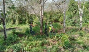 WhatsApp Image 2026-01-05 at 12.05.38