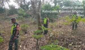 WhatsApp Image 2026-01-07 at 09.49.33