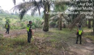 WhatsApp Image 2026-01-12 at 10.15.16