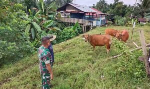 WhatsApp Image 2026-01-12 at 10.15.41