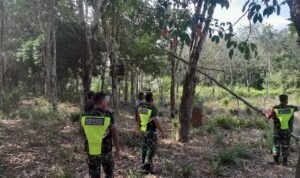 WhatsApp Image 2026-01-14 at 11.25.44