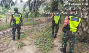 WhatsApp Image 2026-01-25 at 09.40.22