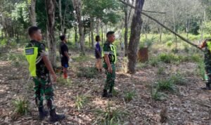 WhatsApp Image 2026-01-25 at 10.19.28