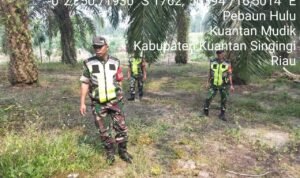 WhatsApp Image 2026-01-26 at 09.35.45 (1)