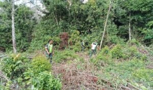 WhatsApp Image 2026-01-29 at 10.47.33 (1)