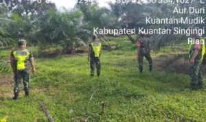 WhatsApp Image 2026-02-01 at 09.47.19