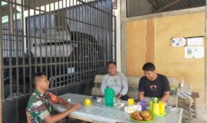 WhatsApp Image 2026-02-01 at 09.47.32