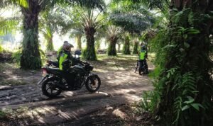 WhatsApp Image 2026-02-01 at 11.12.27