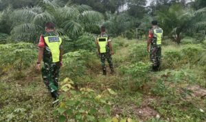 WhatsApp Image 2026-02-02 at 11.35.13