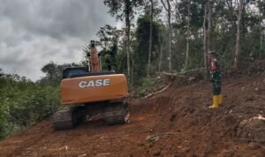 WhatsApp Image 2026-02-21 at 11.33.43