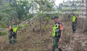 WhatsApp Image 2026-02-23 at 09.44.09