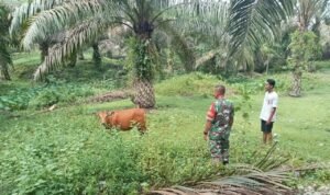 WhatsApp Image 2026-02-24 at 11.12.56