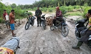 WhatsApp Image 2026-02-24 at 12.09.50