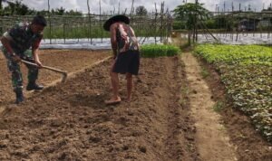 WhatsApp Image 2026-02-24 at 12.10.27