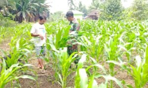 WhatsApp Image 2026-02-25 at 10.28.54