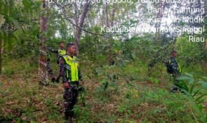 WhatsApp Image 2026-03-01 at 09.41.24