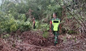 WhatsApp Image 2026-03-01 at 12.56.22