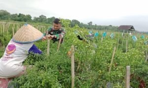 WhatsApp Image 2026-03-02 at 09.58.15