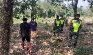 WhatsApp Image 2026-03-04 at 12.46.40