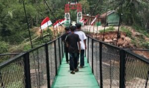 WhatsApp Image 2026-03-23 at 11.50.35