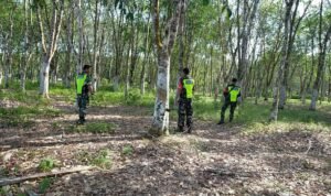 WhatsApp Image 2026-03-29 at 11.25.54