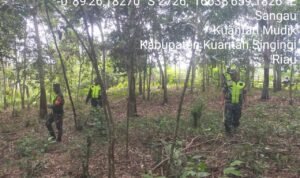 WhatsApp Image 2026-04-05 at 10.50.33