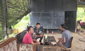 WhatsApp Image 2026-04-08 at 09.56.03