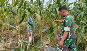 WhatsApp Image 2026-04-08 at 09.56.27