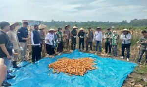 WhatsApp Image 2026-04-08 at 10.58.24