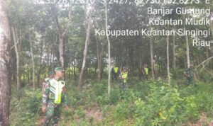 WhatsApp Image 2026-04-10 at 09.50.20