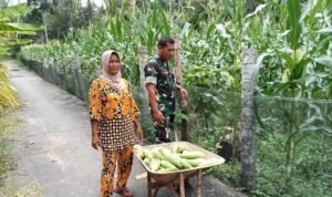 WhatsApp Image 2026-04-10 at 09.50.52