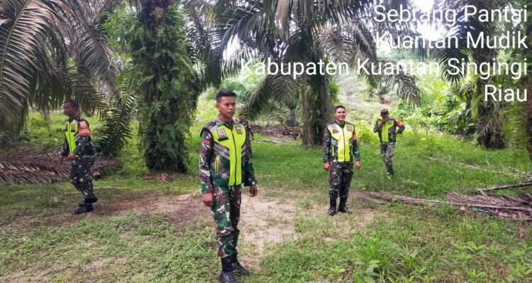 WhatsApp Image 2026-04-13 at 09.50.57