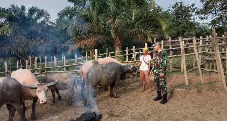 WhatsApp Image 2026-04-13 at 09.51.34