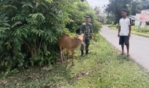 WhatsApp Image 2026-04-14 at 09.41.37