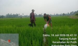 4 (1) (Copy)