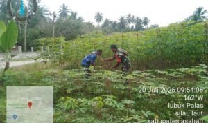 6 (3) (Copy)