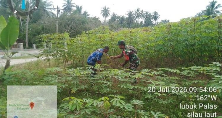 6 (3) (Copy)