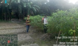 4 (3) (Copy)