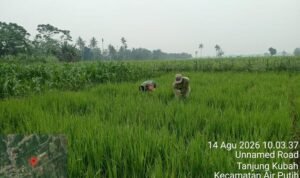 5 (1) (Copy)