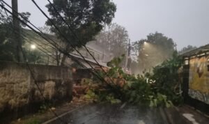 IMG-20260919-WA0085